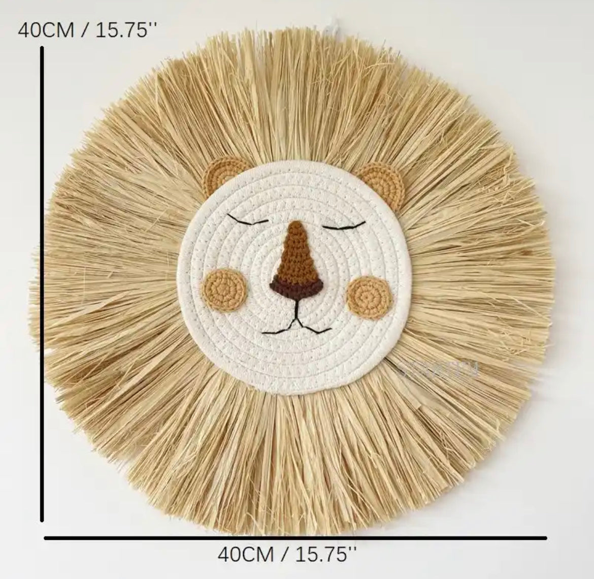 Lion Wall Hanging